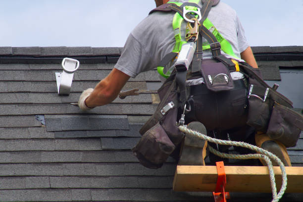 Best Roof Moss and Algae Removal  in Drain, OR