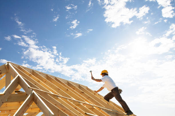 Best Asphalt Shingle Roofing  in Drain, OR
