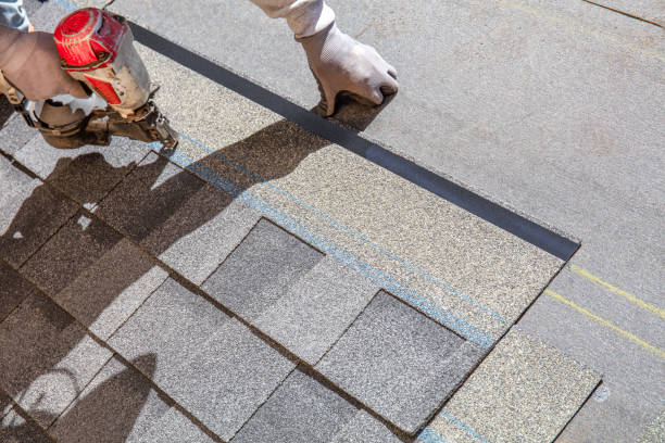 Best Sheet Metal Roofing  in Drain, OR